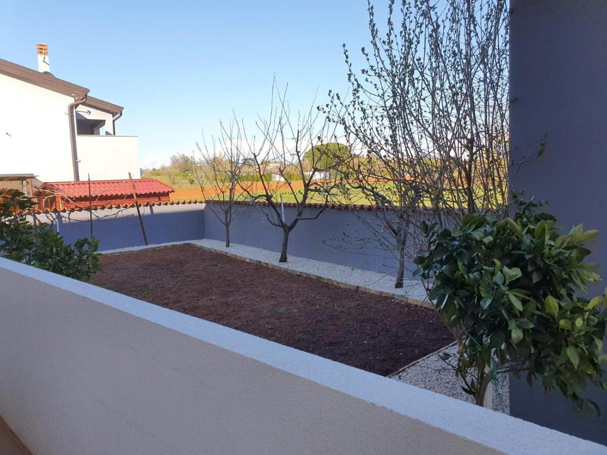 Villa Ancora 萨武德里亚 外观 照片