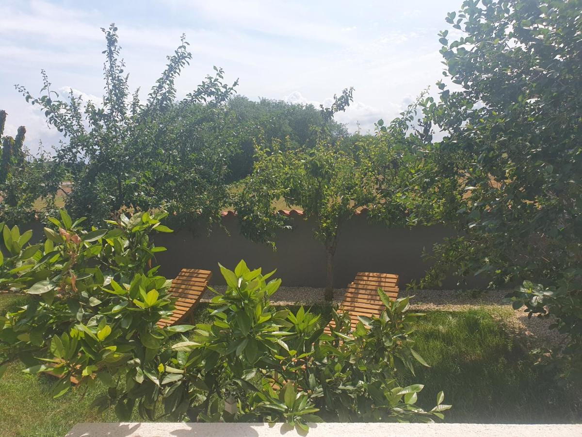 Villa Ancora 萨武德里亚 外观 照片
